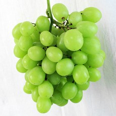 샤인머스켓 보다 달콤한 시들리스 청포도 1kg / 2개 주문시 2.5kg발송