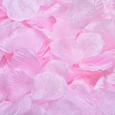 파티복닷컴 장미꽃잎 플라워샤워 500p, 밝은 핑크