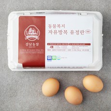 강남농장 동물복지 인증 자유방목 유정란 (1번란), 780g, 15구