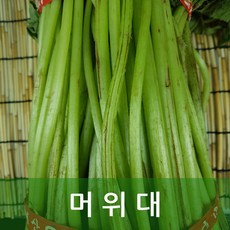 머위대 생머위대 4kg내외 행복한식탁