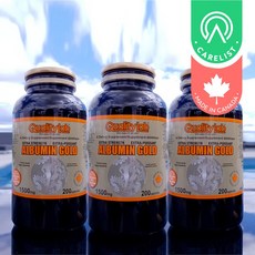 Qualitylab Albumin Gold 1500mg x 3, 200캡슐, 3병