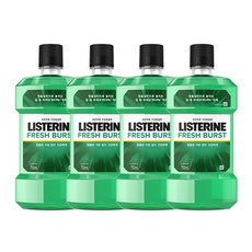 리스테린 후레쉬 버스트 구강청결제, 750ml, 4개