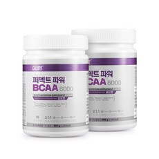 칼로바이 퍼펙트 파워 BCAA 6000 헬스 부스터 아미노산, 2개입, 300g