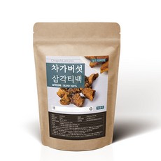 조은약초 차가버섯차 삼각티백, 100개, 1g, 100개