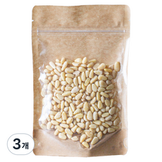 솔닙 솔향 가득 2022년산 햇 백잣, 3개, 90g