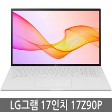 LG전자 그램 17인치 노트북 17Z90P 17ZD90P i5 i7 램8GB SSD256GB 윈도우10, WIN10 Home, 8GB, 256GB, 코어i5, 랜덤