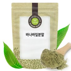 바나바잎 분말 가루 500g 베트남, 단품, 1개