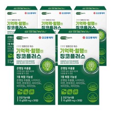 징코 플러스 기억력 혈행 도움 에 좋은 은행잎추출물 아연 판토텐산 비타민B 부모님 수험생 선물 식약청 식약처 청소 여성 남성 +도레미잡화점 알약케이스, 30정_5박스_5개월분+도레미잡화점 사은품, 5개