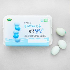 자연애찬 무항생제 인증 자연애란 유정청란 (1번란) 15구, 660g, 1개