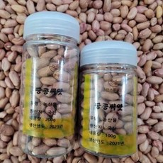 [한스푼푸드] 땅콩씨앗 100g (110립내외) 씨눈이 살아있는 땅콩종자, 땅콩씨앗 200g(240립 내외)