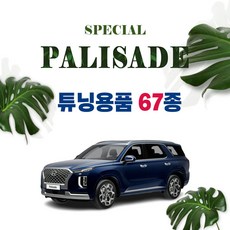 [차랑] 팰리세이드 차량용품 모음 튜닝 악세사리, 20_윈도우패널 카본 몰딩