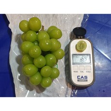 샤인머스켓 밀양 선물용 3수 2KG 가정용 특품 3-5수 4KG, 3~5수 특품4KG