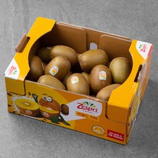 제스프리 썬골드키위, 점보, 3.1kg(22~24개입), 1개