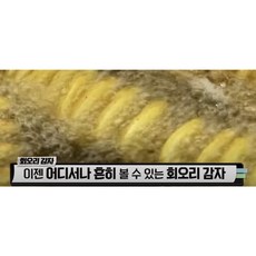 [지원지구] 1+1 고속도로 휴게소 전국간식 감자튀김 회오리 놀면 토네이도 포테이토 프라이드 총700g 10개