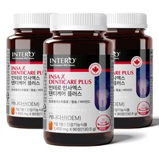인테로 인사엑스 플러스 잇몸 치아 뼈건강 + 사은품 증정, 3박스 x 90정 (9개월분)