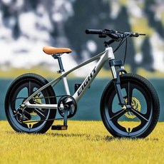 BMX자전거 선수용 묘기자전거 액션 퍼포먼스, 키 115-160 실버 20인치