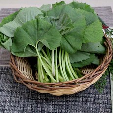 국내산 머위잎4kg/머위나물/봄나물/자연대로팜웨이, 머위4kg