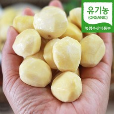 (자연마을) 22년 유기농 햇밤 수작업 깐밤 공주 정안밤 250g 500g 맛밤 알밤 단밤 생율, 1개