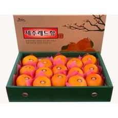 제주도 레드향 한라봉 3 kg 5 키로 10 kg 설 선물세트 가정용, 실속 소과 5 kg (25과내외), 1개, 5kg