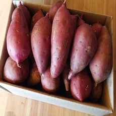 해남 황토 베니하루카 꿀고구마 3kg5kg10kg 황금호박고구마, 1박스, 꿀고구마10kg(왕품)개당300g이상