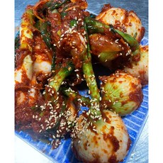 전라도 수제김치 제철 양파줄기김치 1kg 2kg 3kg 5kg