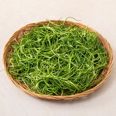 해남 세발나물, 150g, 1봉
