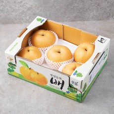 정성듬뿍 GAP 인증 아산 실속배, 3kg(4~7과), 1박스