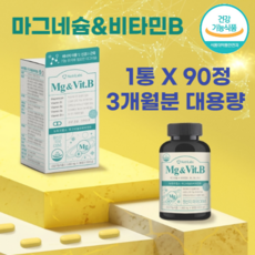 식약처 인증 미국산 마그네슘 비타민b 비타민비 영양제 약3개월분, 1통(3개월분)_사은품패치증정