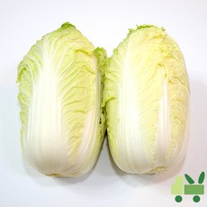 사라상회 알배기배추 (쌈배추) 8Kg (특)