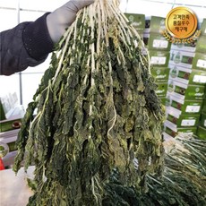 강원도 양구시래기 펀치볼 무청시래기 건시래기 3kg 2kg 1kg 산지직송, 시래기 500g, 1개