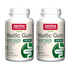 Jarrow Formulas 자로우 매스틱 검 1000mg, 60정, 2병