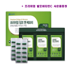 혈액순환개선 혈액순환영양 은행잎추출물 중외제약 정품, 500mg x 30캡슐 x 3박스, 3개