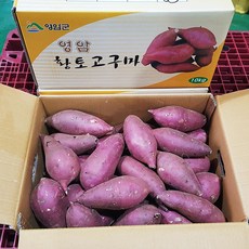 고구마 영암품명 황종복 연지 꿀고구마 35 10kg 품질엄선, 황종복연지 꿀고구마5kg(쫄/한입)