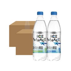 광동 아이스웨일 탄산수 500ml플레인20입+샤인머스캣20입 탄산수 박스 무설탕 스파클링 탄산 음료 고급 프리미엄 음료수 홈카페 가정용 사무실 회사 단체 야유회 간식, 광동아이스웨일탄산수500ml플레인20입+샤인머스캣20입