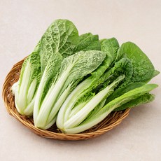 친환경 얼갈이, 300g, 1봉
