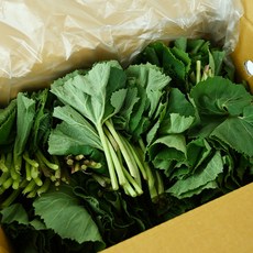 거창 머위 머위잎 1kg 머위나물, 1박스