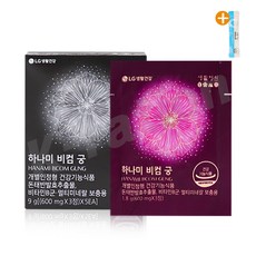 생활정원 하나미 비컴 궁 60일분 90일분 시식용 (+시음 1포 증정), 90일분(3개월), 1개