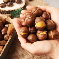 국산 공주밤 칼집 약단밤 알밤 군밤 약밤 생율 밤 군밤용밤 맛밤 1kg 2kg 4kg, 1.칼집 약단밤 1kg, 1개