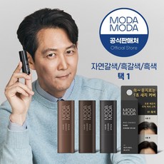 모다모다 프로체인지 새치헤어 커버스틱 흑색 흑갈색 자연갈색 (3종1택)