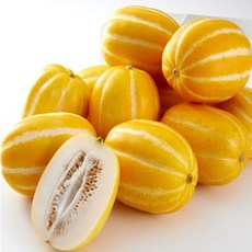 산지직송 성주 꿀 참외 당일배송 3kg 5kg 10kg(랜덤과), 랜덤과3kg