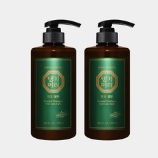 댕기머리 [댕기머리]명품 샴푸 500ml 2개, 명품샴2