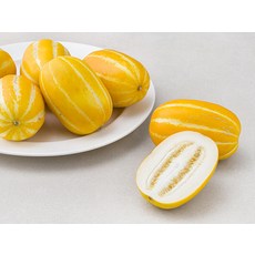 곰곰 x 농협 성주 실속 미니참외, 2kg, 1개