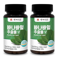 바나바잎 추출물 정 500mg 100정 HACCP, 2개, 500mg x 100정