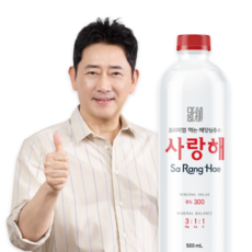 천연미네랄 경도300 프리미엄 해양심층수 사랑해 500mL 40개입