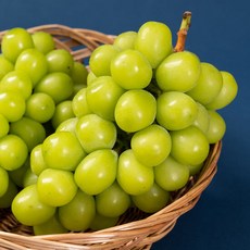 [농부들의수확] 샤인머스켓 가정용 일반형 1kg(2~3수), 단품
