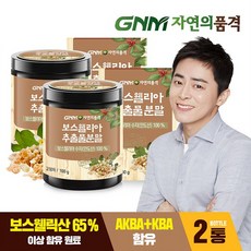 [KT알파쇼핑]GNM 보스웰리아 추출물 분말 가루 100g X 2통 / AKBA+KBA 보스웰릭산 65%이상 원료, 2개, 특대