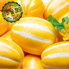 [달콤한 노란향기] 성주 고당도 꿀참외 2kg 3kg 5kg 10kg, 중과(로얄과), 1개
