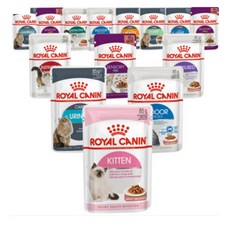 로얄캐닌 캣 파우치 85gx12개/습식사료, 캣 파우치 인도어 85g x12개
