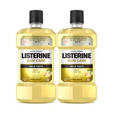 리스테린 검케어 마일드 구강청결제, 750ml, 2개