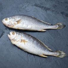 씨알 굵은 부세굴비 2마리, 480g, 1팩